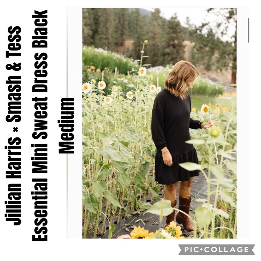 Jillian Harris × Smash & Tess Essential Mini Sweat Dress Black Medium